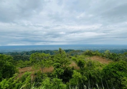 Cloudy hills