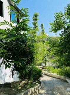 Garden path